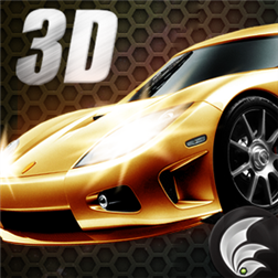 Crazy Racer 3D (1)