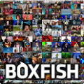 Boxfish TV Guide