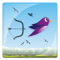 Hunt Birds With Arrow & Bow (1)