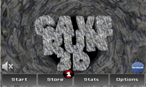 Cave Run 3D (2)