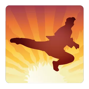 Hero of Shaolin Fighting Game (2)