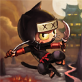 NinjaCat Bombay