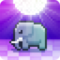 Disco Zoo