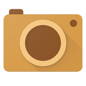 Cardboard Camera (1)